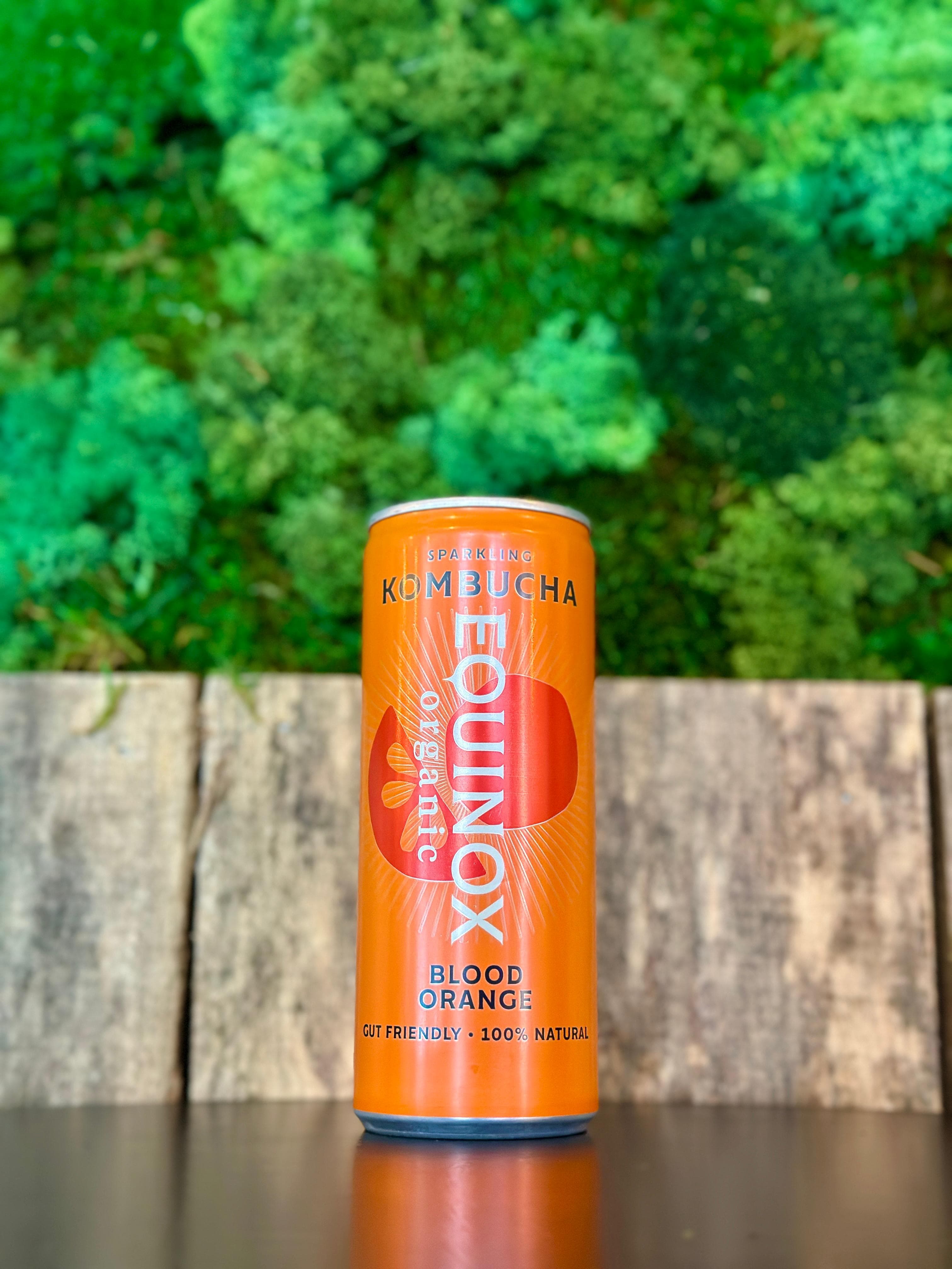 organic kombucha - blood orange