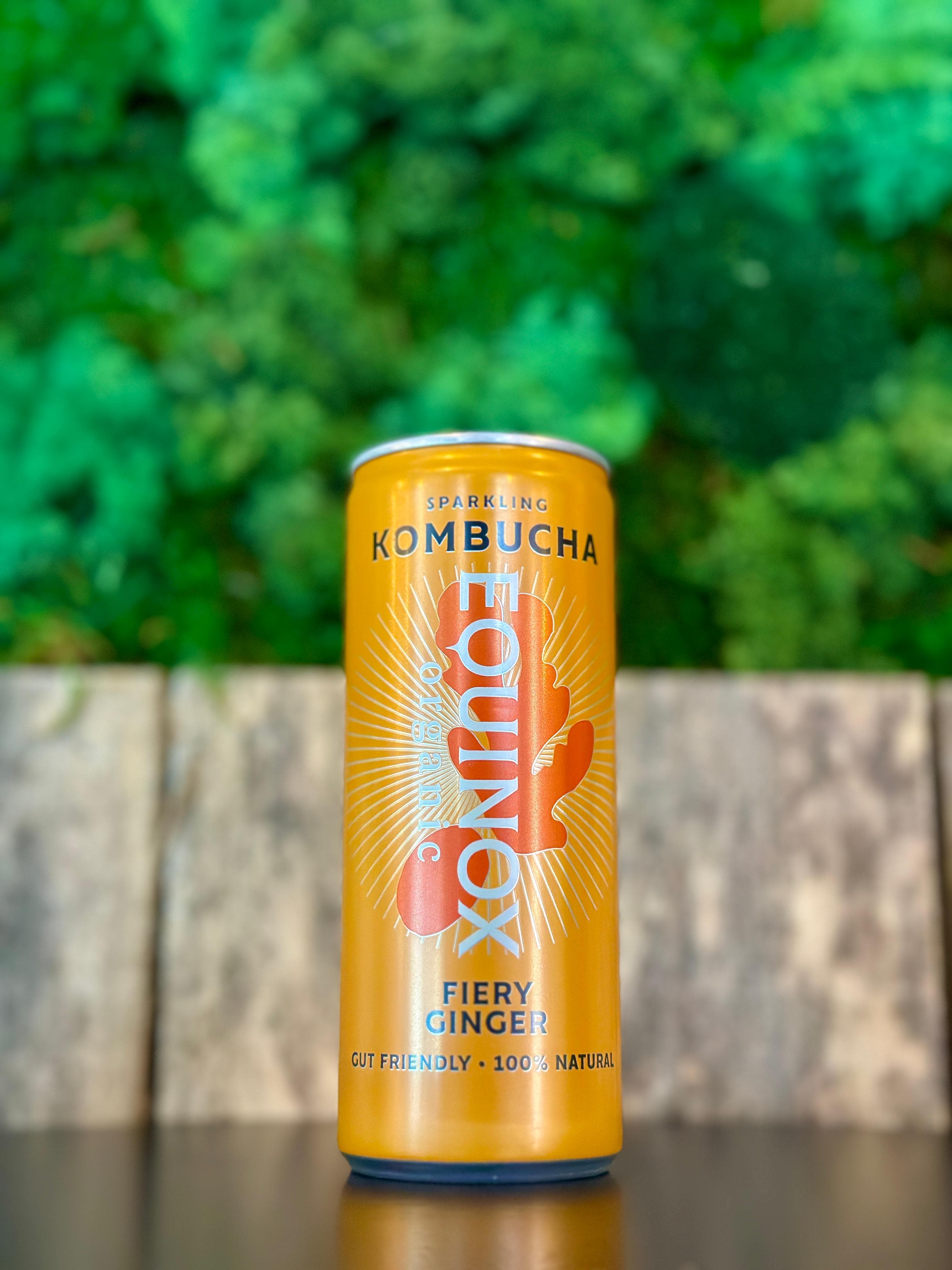 organic kombucha - fiery ginger
